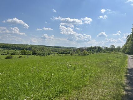 Foto von Reiner Diedrichs entlang der Tour