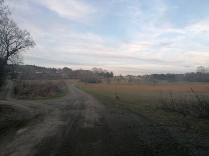 Foto da Dragoljub Ilic lungo il tour