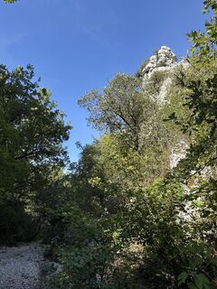 Fotó a Grizzli honlapról a túra során