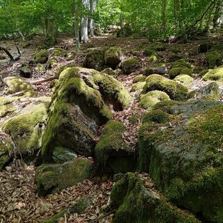 Photo de Marek Pędziwiatr le long du parcours