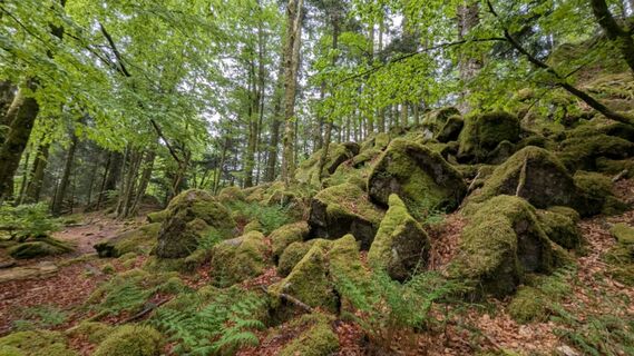 Photo de Richard Schwald le long du parcours