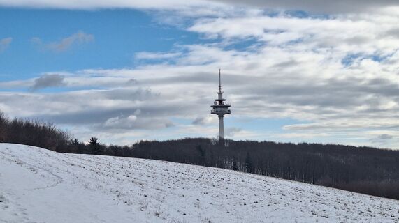 Foto von Regina Fleischmann entlang der Tour