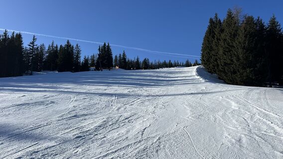 Fotografie z asettele na trase