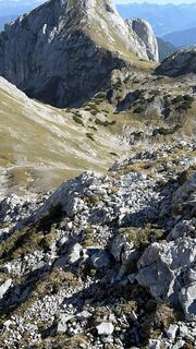 Foto de Mountain Cat ? ⛰️ a lo largo del recorrido