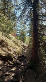 Photo de Thomas Weber le long du parcours