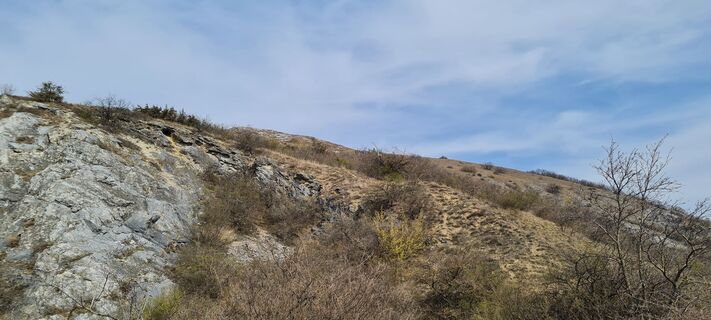 Foto von Tanjasusanna entlang der Tour