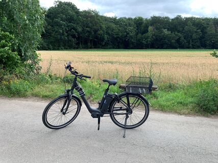 Fahrrad Peine Feld
