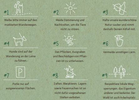 Respekt für die Natur zeigen
