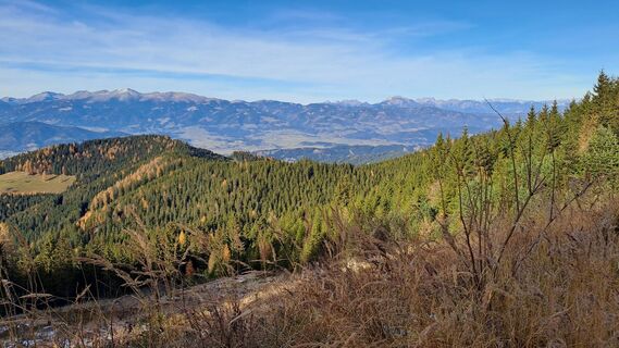 Foto von Johnny Velo entlang der Tour