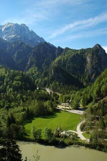 Weidendom Nationalpark Gesäuse