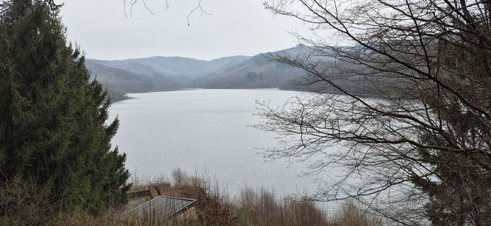 Fotografia z Helmut Damm 1 na trase