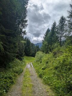 Photo from ElizabethMMorris along the tour