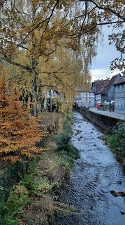 Foto de Wiebke a lo largo del recorrido