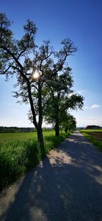 Fotografija s spletne strani Klaus Lehner na poti