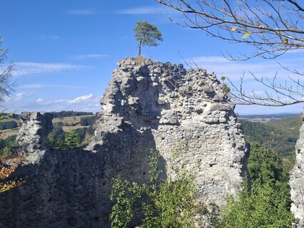 Foto von Maierhofer Marcel entlang der Tour