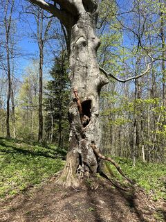 Foto de Ivana Dumančić a lo largo del recorrido