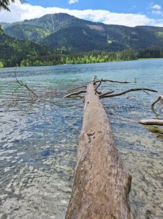 Foto von Dagmar Hofer entlang der Tour