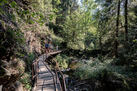 Wanderweg in der Ravennaschlucht