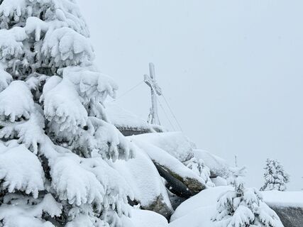 Photo de Dani Geiger / Natur_erleben_dg le long du parcours