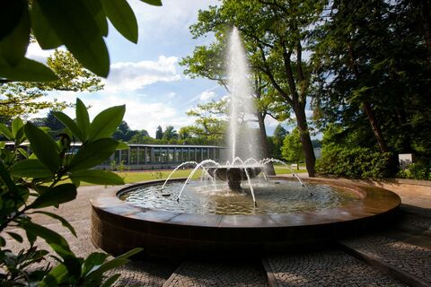 Waldspringbrunnen mit Blick auf die KunstWandelhalle