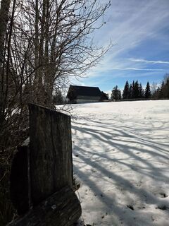 Foto de Samo Bone a lo largo del recorrido