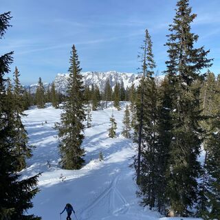 Tennengebirge im Hintergrund