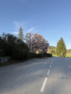 Zdjęcie z Lukas Eisner wzdłuż trasy