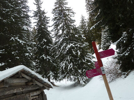Lauschige Abschnitte durch den Winterwald (Verzweigungspunkt Waldhütte)