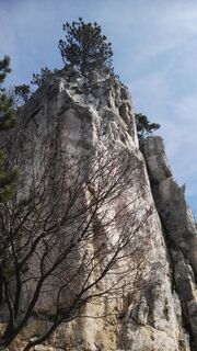 Grafenberg (Breiter Stein)