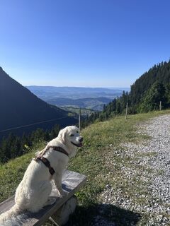 Fotografija s spletne strani Bene Schadel na poti