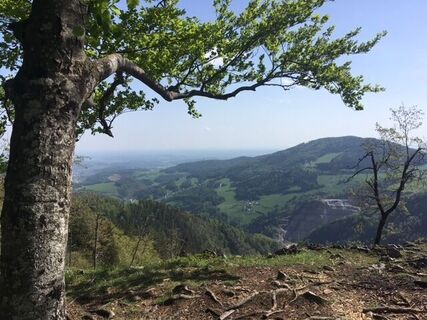Ausblick Patscha-Nase_Naturpark Almenland_Oststeiermark
