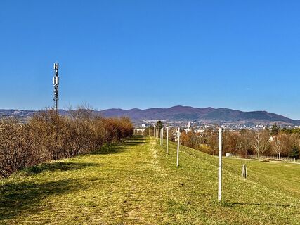 Foto de Ekhard Oberleitner a lo largo del recorrido