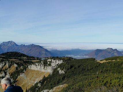 Fotografija s spletne strani Angelika Silberhuber na poti