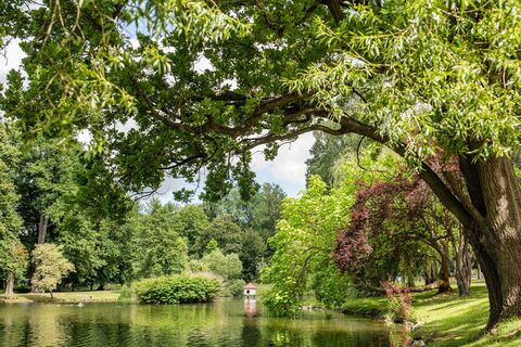Elisabethpark - Bad Liebenstein