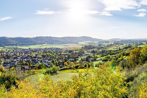Blick auf Bohlingen und den Schienerberg vom Galgenberg aus
