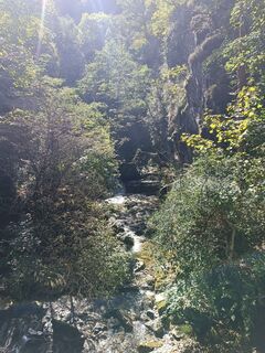 Fotografija s spletne strani Thomas Waldraff na poti