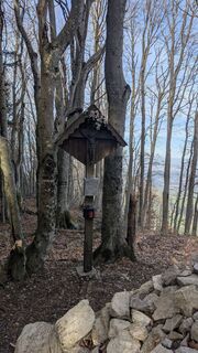 Zdjęcie z W.K. wzdłuż trasy