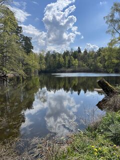 Photo de Lothar le long du parcours