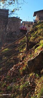 Photo de Amanda Belleri le long du parcours