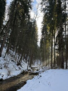 Foto von Gy V entlang der Tour