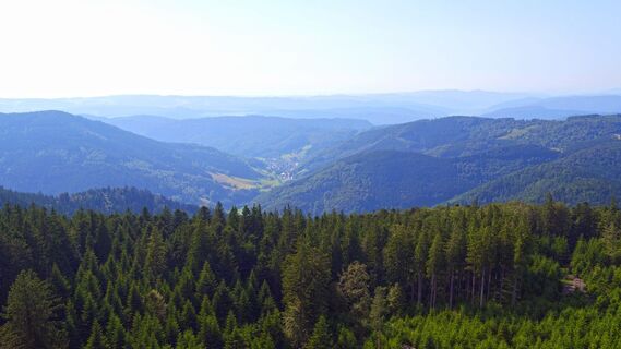 Blick vom Karlstein
