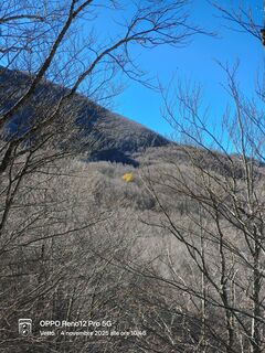 Photo de Sherpa 960 le long du parcours