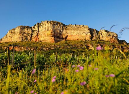 vergisson-roche-paysage-stephane-godin-gsf-solutre-pouilly-vergisson-032