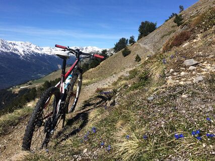 Mountainbike-Strecke-Balmes