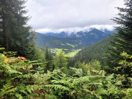 Foto von mmecki entlang der Tour
