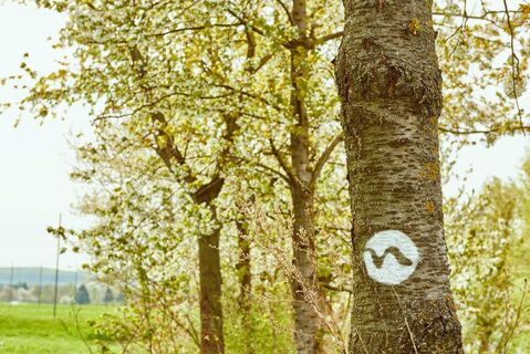 Markierung am Weitwanderweg Nibelungengau