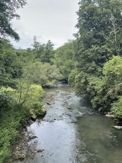 Foto da holgerwag lungo il tour