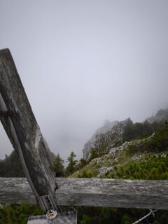 Fotografie z Hakuna Matata na trase