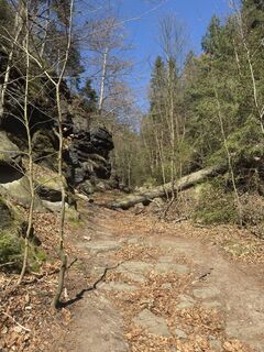 Foto von Steffen Kiesel entlang der Tour