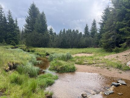 Fotografie de la Václav Stejskal de-a lungul turului